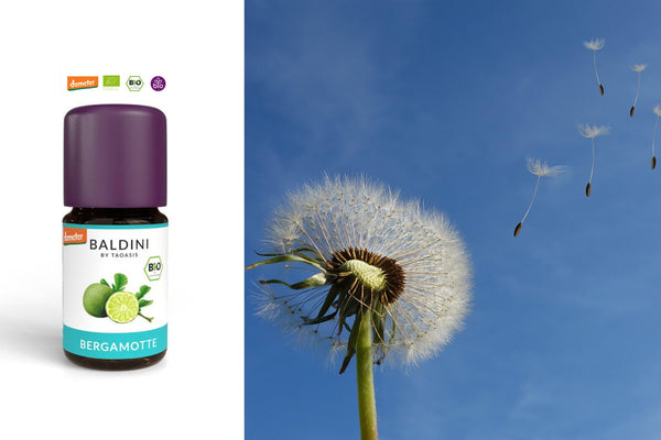Die Kraft des Elements Luft – Aromatherapie mit Bergamotte