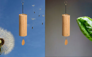 Koshi Aria und Koshi Terra